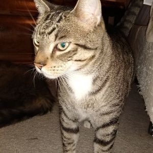 Meet your Posher, Brian